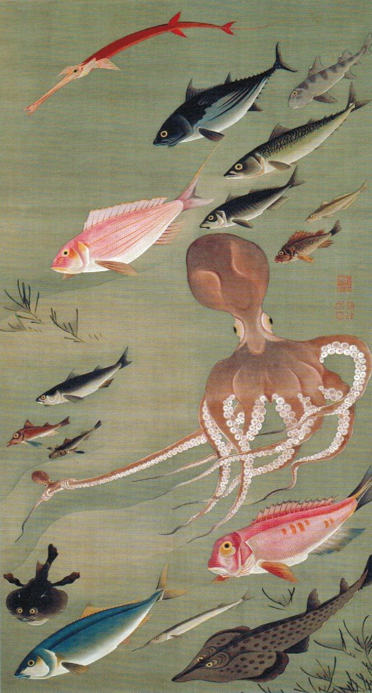 “群魚図 ‐ 蛸(ぐんぎょず - たこ)