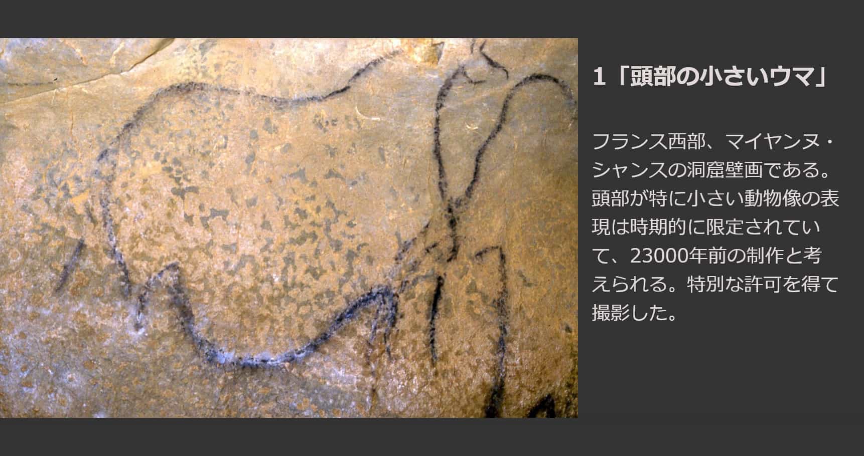 頭部の小さいウマ